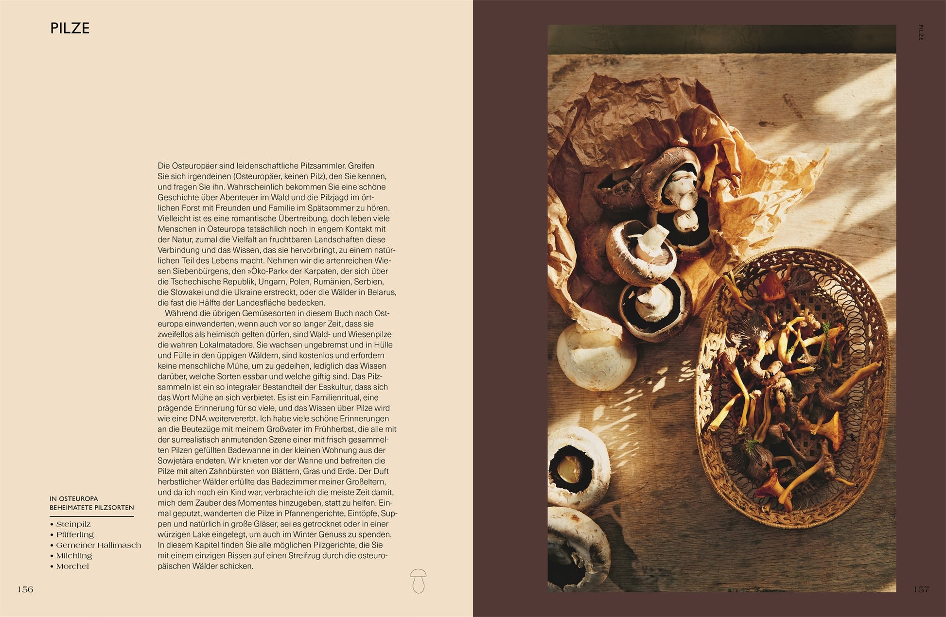 Kapitelbeginn „Pilze“. Links Text über die Bedeutung von Pilzen in Osteuropa, rechts Stillleben mit Champignons und Wildpilzen in Körben bei Sonnenlicht.