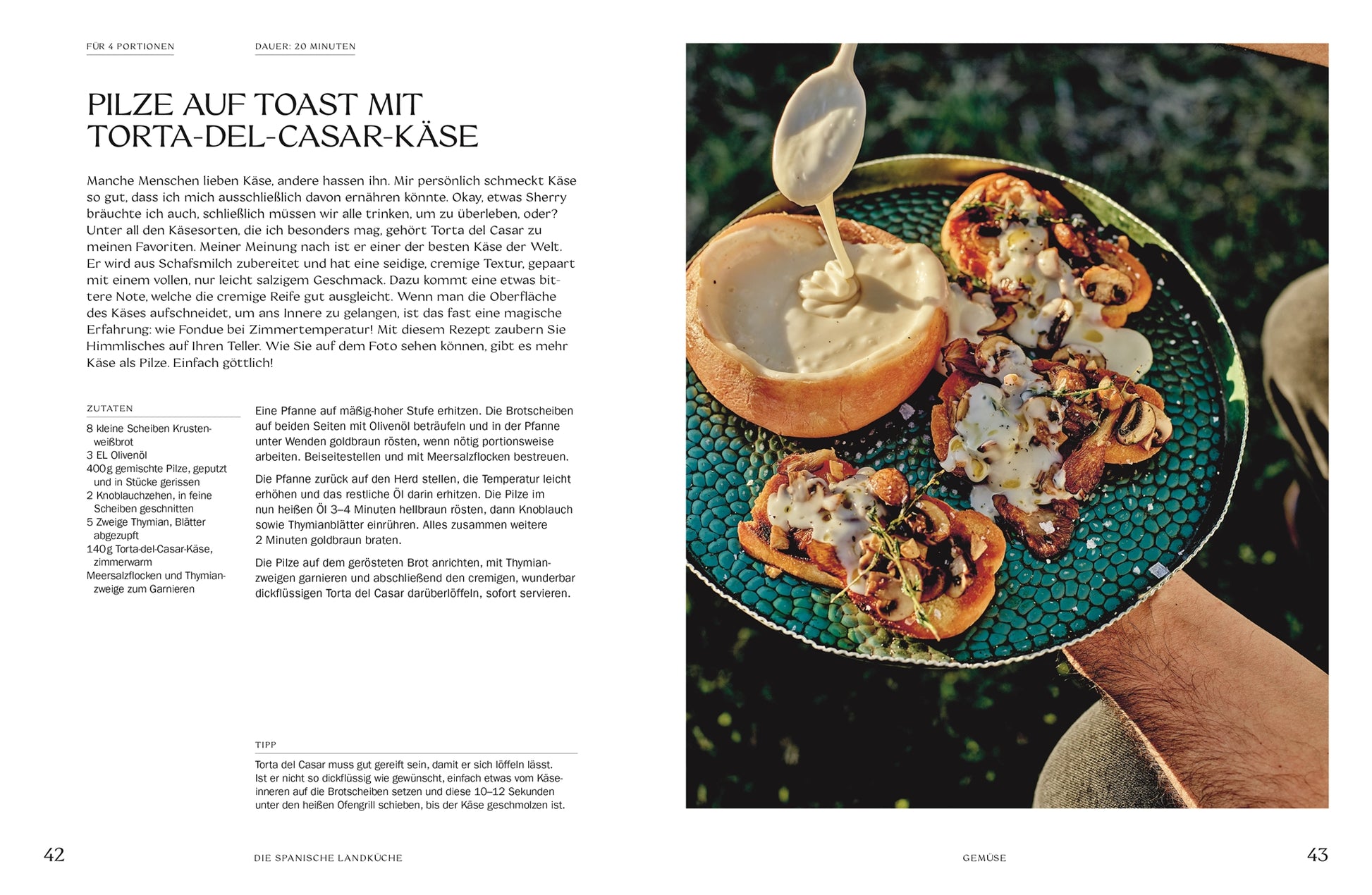 Pilze auf Toast mit Torta-del-Casar-Käse: Vier kleine Toastscheiben, belegt mit gerösteten Pilzen und übergossen mit geschmolzenem Torta-del-Casar-Käse. Die Toasts liegen auf einem grünen Teller neben einem halb angeschnittenen Käseleib, aus dem der Käse gegossen wird.