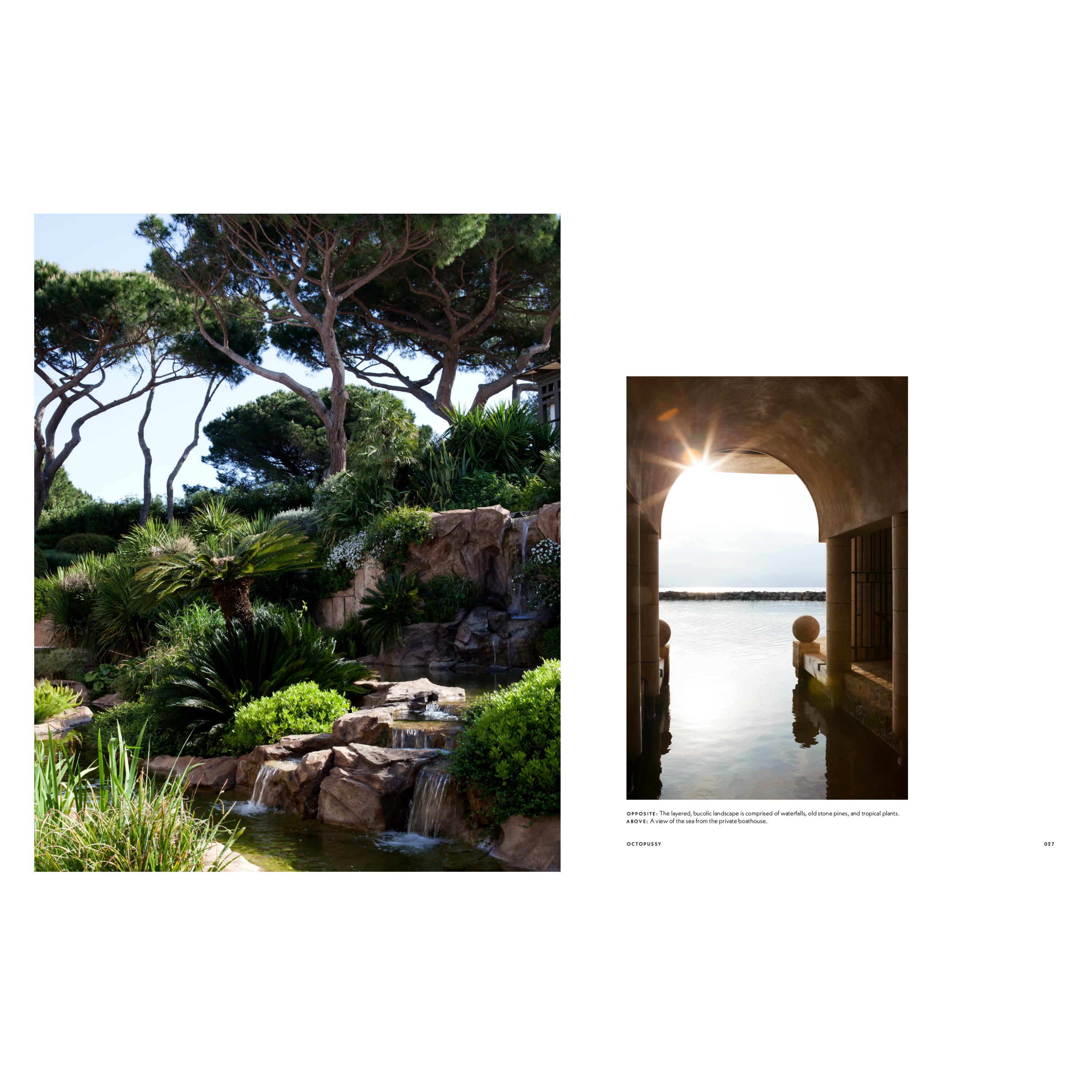 Illustration „Octopussy“ aus dem Buch „Côte d’Azur Living“ von Harriet Thorpe, inspiriert vom mediterranen Lebensgefühl der Côte d’Azur, mit maritimen Motiven und südfranzösischer Ästhetik.