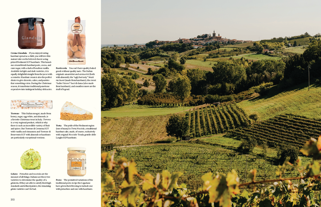 Landschaftsaufnahme aus dem Kochbuch Originale. Weinberge und Hügel im Piemont, Italien, mit traditionellen Spezialitäten wie Gianduia, Torrone, Torta di nocciole und Pesto aus regionalen Zutaten.