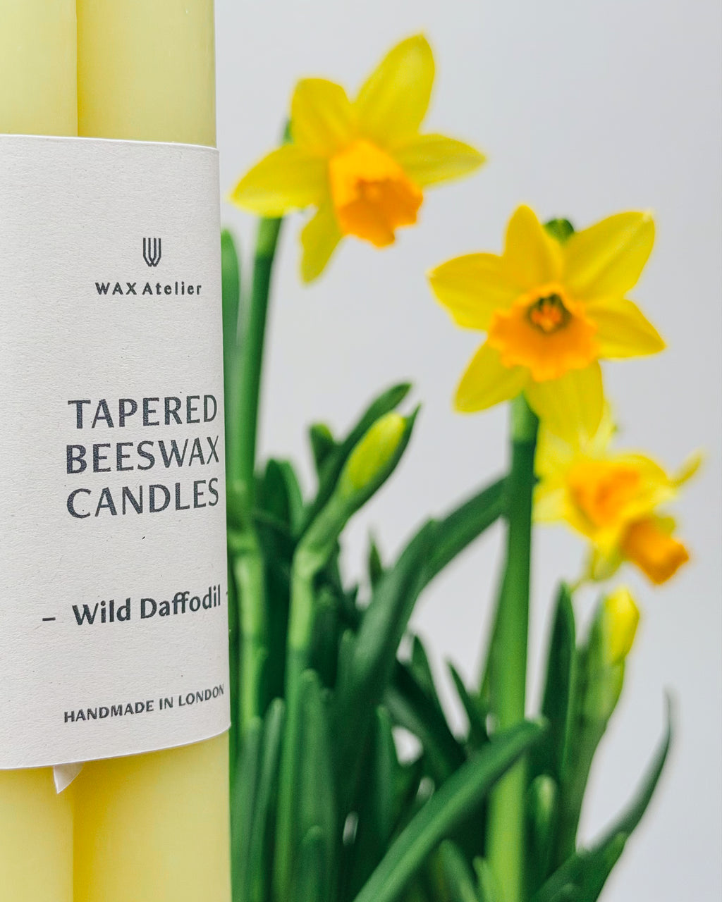 2-Piece Taper Candle Set Wild Daffodil