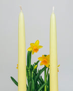 2-Piece Taper Candle Set Wild Daffodil