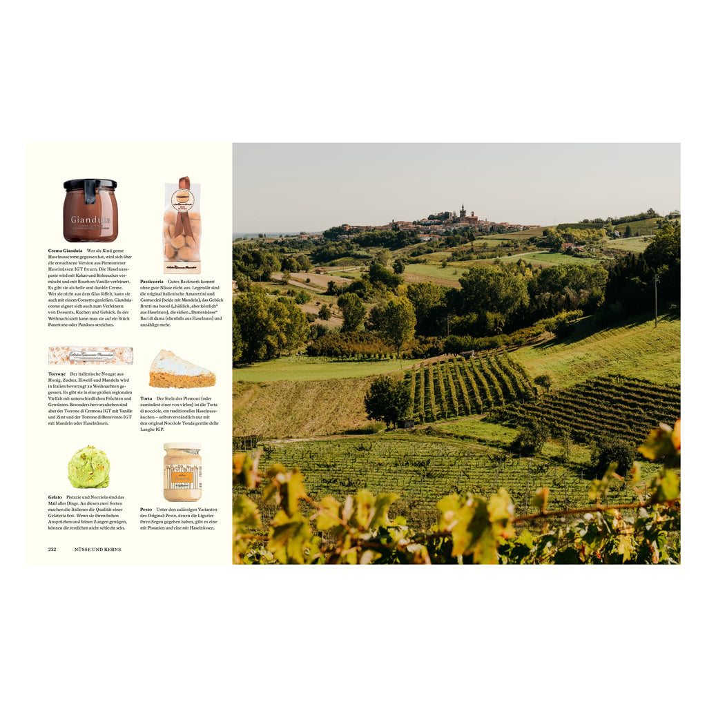 Landschaftsaufnahme aus dem Kochbuch Originale. Weinberge und Hügel im Piemont, Italien, mit traditionellen Spezialitäten wie Gianduia, Torrone, Torta di nocciole und Pesto aus regionalen Zutaten.
