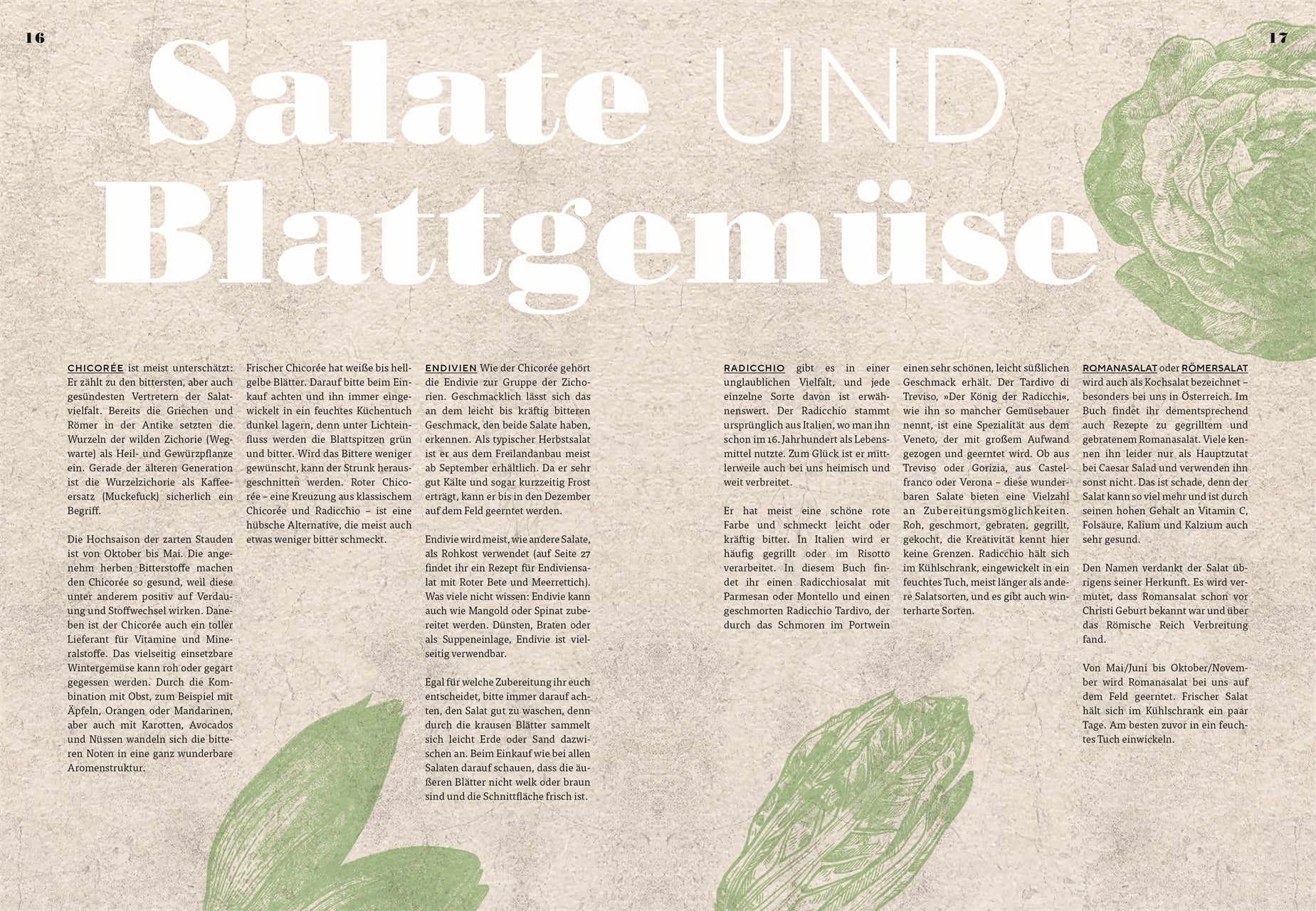 Doppelseite „Salate und Blattgemüse“: Informative Doppelseite über verschiedene Sorten von Blattsalaten wie Chicorée, Endivien und Römersalat – gestaltet mit großen Typoelementen und grünen Illustrationen.
