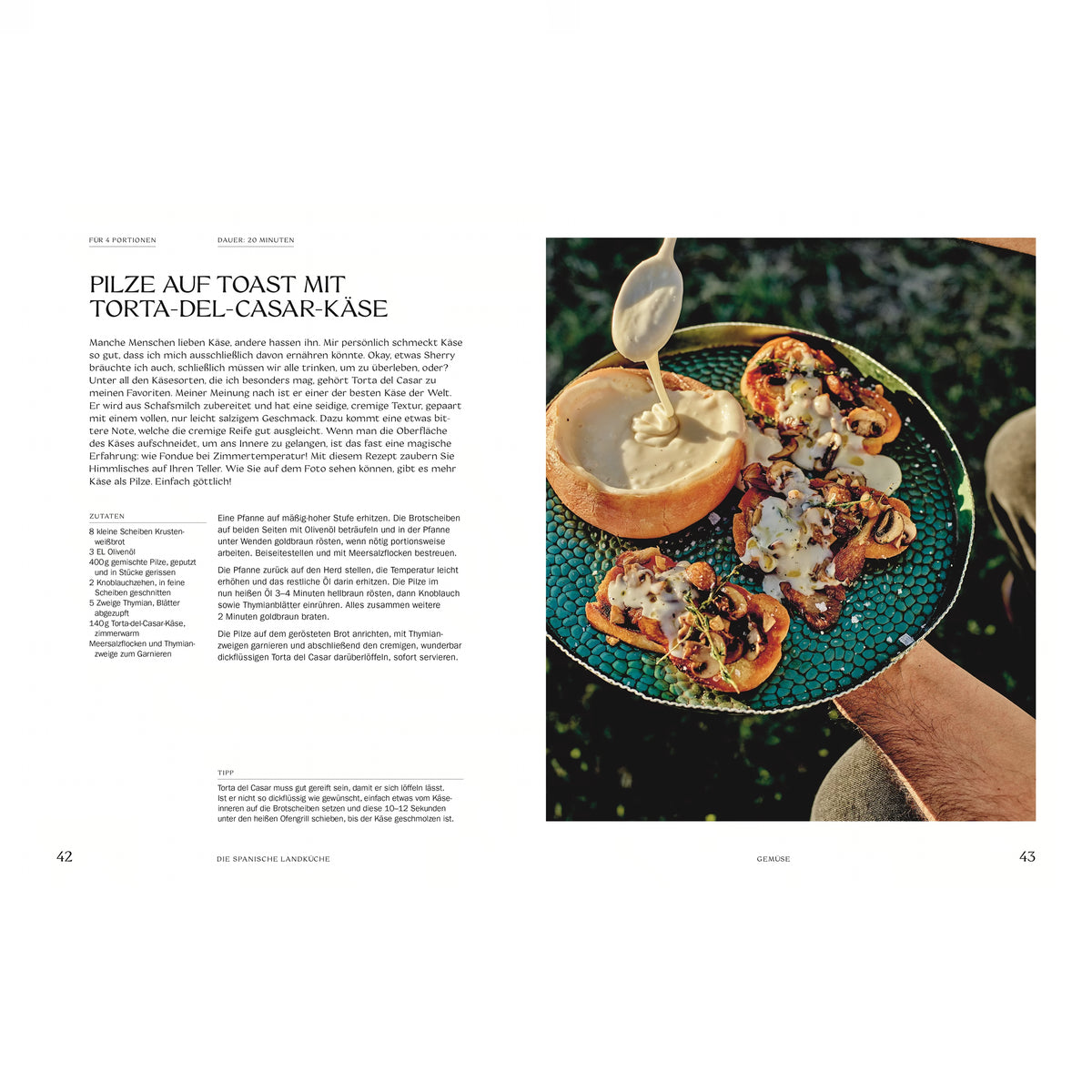 Pilze auf Toast mit Torta-del-Casar-Käse: Vier kleine Toastscheiben, belegt mit gerösteten Pilzen und übergossen mit geschmolzenem Torta-del-Casar-Käse. Die Toasts liegen auf einem grünen Teller neben einem halb angeschnittenen Käseleib, aus dem der Käse gegossen wird.