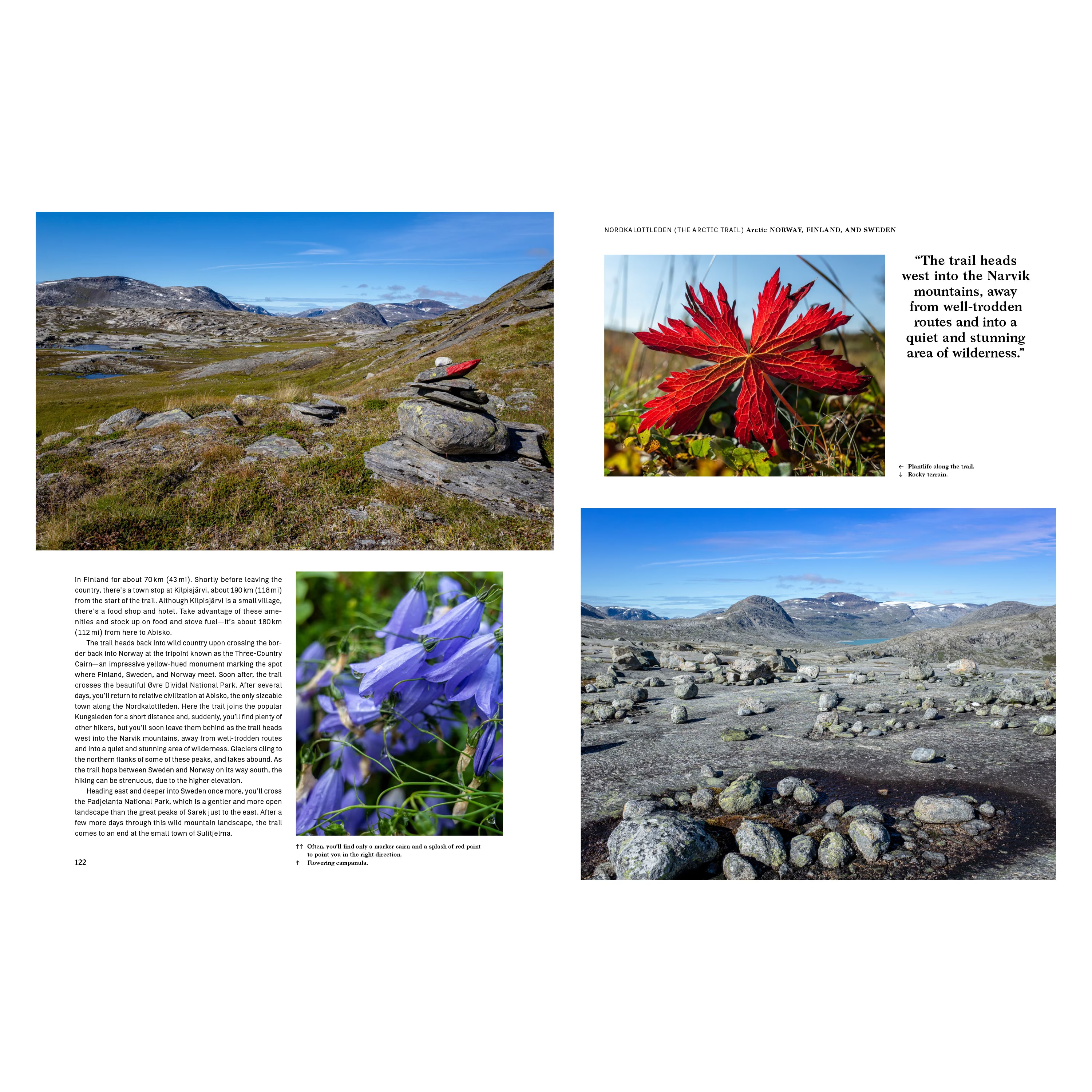 Doppelseite aus dem Buch Wanderlust Bbeeindruckende Naturaufnahmen des Nordkalottleden in Norwegen, Finnland und Schweden mit Fjelllandschaft, arktischen Wildblumen und Felsformationen.
