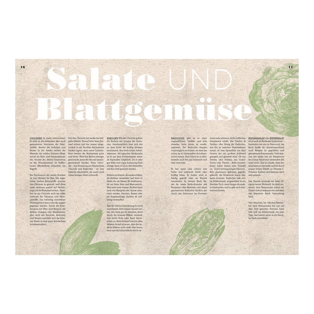 Doppelseite „Salate und Blattgemüse“: Informative Doppelseite über verschiedene Sorten von Blattsalaten wie Chicorée, Endivien und Römersalat – gestaltet mit großen Typoelementen und grünen Illustrationen.